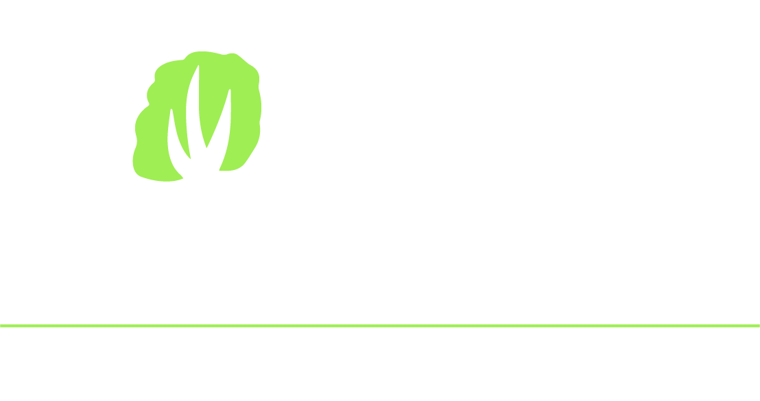 Connie Landscaping, making your outdoor special